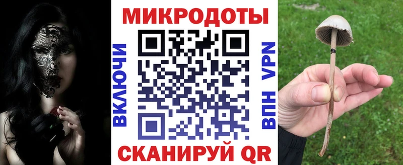 Псилоцибиновые грибы прущие грибы  Кочубеевское 